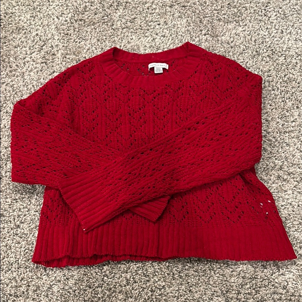 American Eagle Outfitters Red Crew Neck Sweater